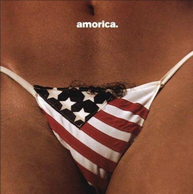Close-up of a person wearing an American flag bikini bottom with the text 'amorica.' above.
