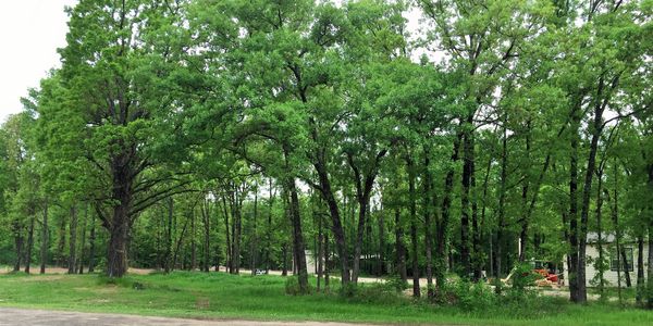 lake fork rv lots popes landing marina