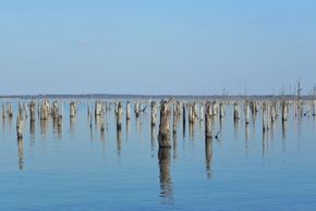 lake fork texas lake levels