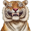Smiling Tiger Qigong