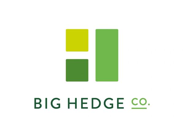 Big Hedge logo