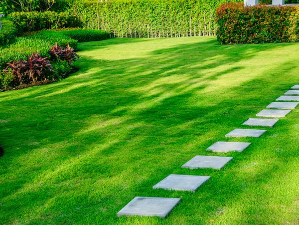 White cement row in a garden.