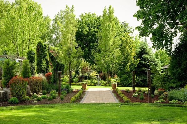 A serene garden pathway surrounded by lush greenery and trees.