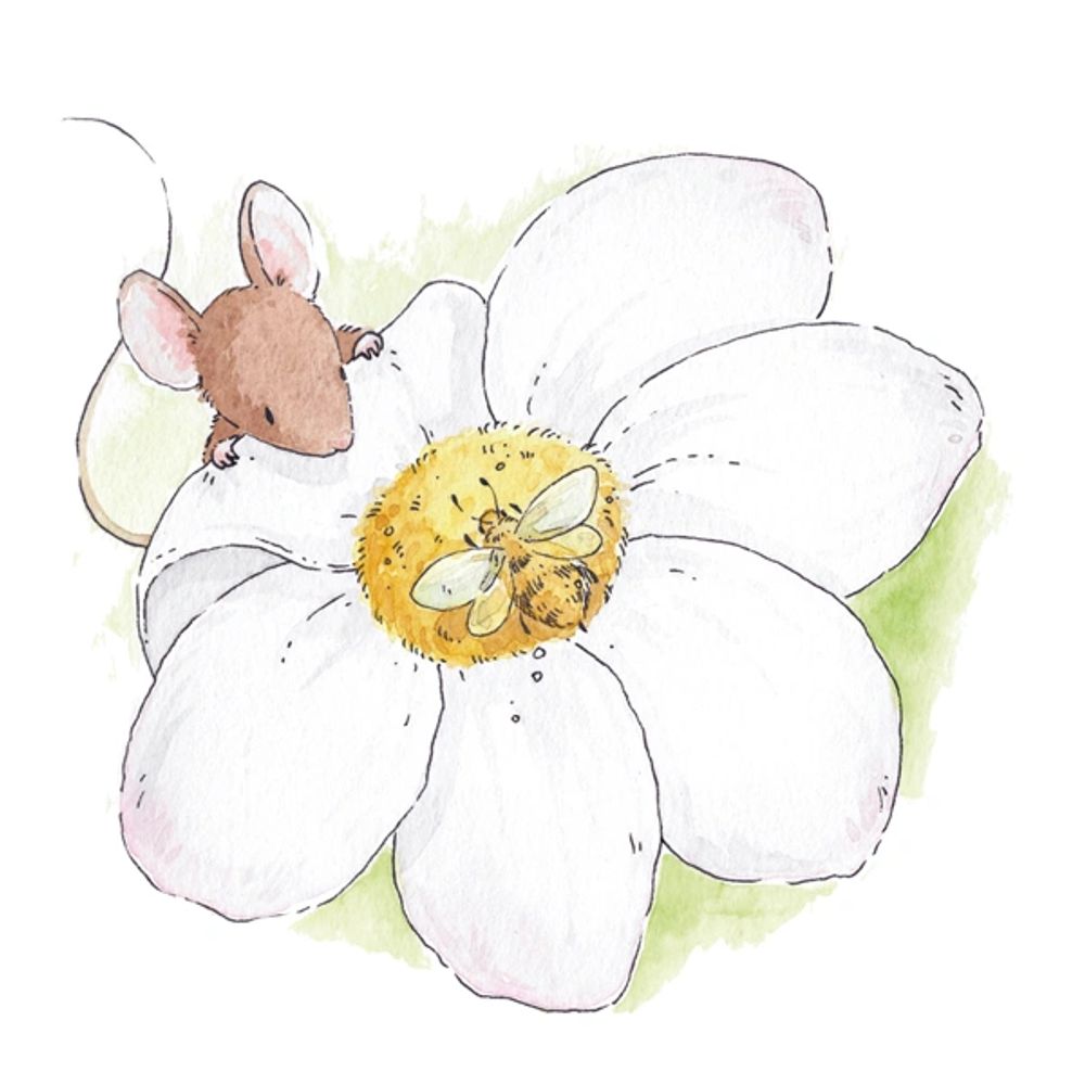 Cozy restaurant tables with colorful patterned tile wall and metal chairs.

Charlie Mouse Books
Children’s Story Books
Children’s Books