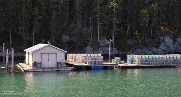 A small boathouse and docks on a calm lake surrounded by forest.