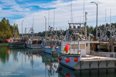 Fishing boats docked at a calm harbor under a blue sky.
