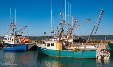 Fishing boats docked at a harbor on a clear day.