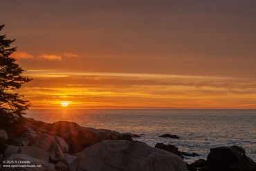 Sunset over rocky shoreline with calm ocean and silhouetted tree.