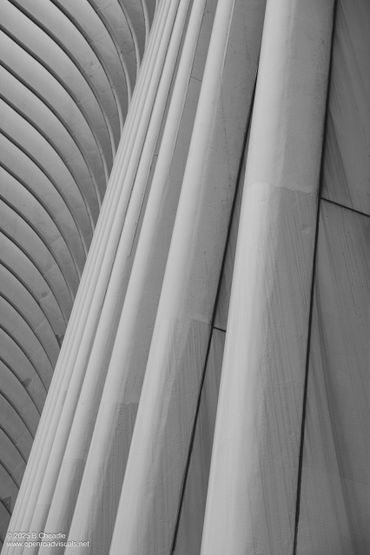 Close-up of modern architectural columns and ceiling in black and white.