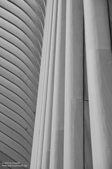 Black and white photo of architectural columns and curved ceiling.