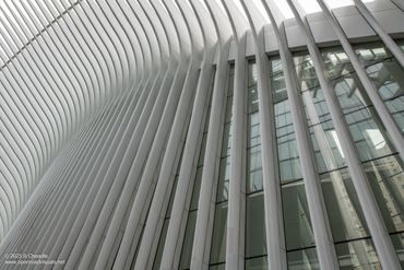 Modern architectural structure with sleek white vertical beams and glass windows.