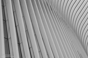 Abstract architectural detail with repetitive vertical and curved lines in monochrome.