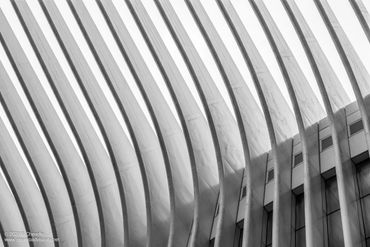 Black and white architectural detail of curved beams against a building facade.