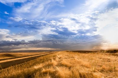 Grasslands of Eastern Washington