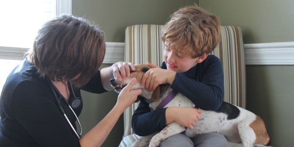 Veterinarian with dog