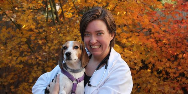 Dr Shann Burroughs, Euthanasia Veterinarian in Raleigh, NC