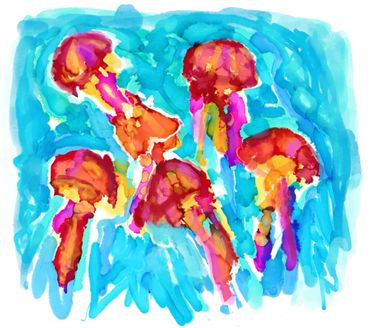 Jellyfish
