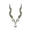 Wild Prestige Adventures