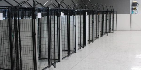 Row of empty black metal dog kennels in a clean indoor space.