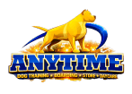 Anytime Dog Training Boarding Daycare & Store