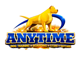 Anytime Dog Training Boarding Daycare & Store