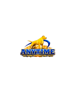 Anytime Dog Training Boarding Daycare & Store