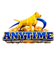 Anytime Dog Training Boarding Daycare & Store