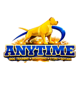 Anytime Dog Training Boarding Daycare & Store