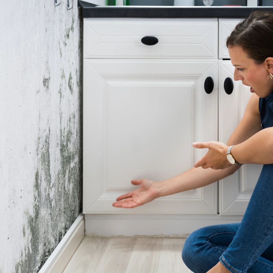 Mold Damage in a home
