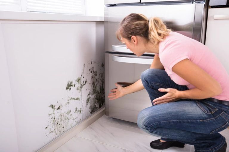 Finding Mold Damage in a Kitchen Finding Mold Damage in a Kitchen