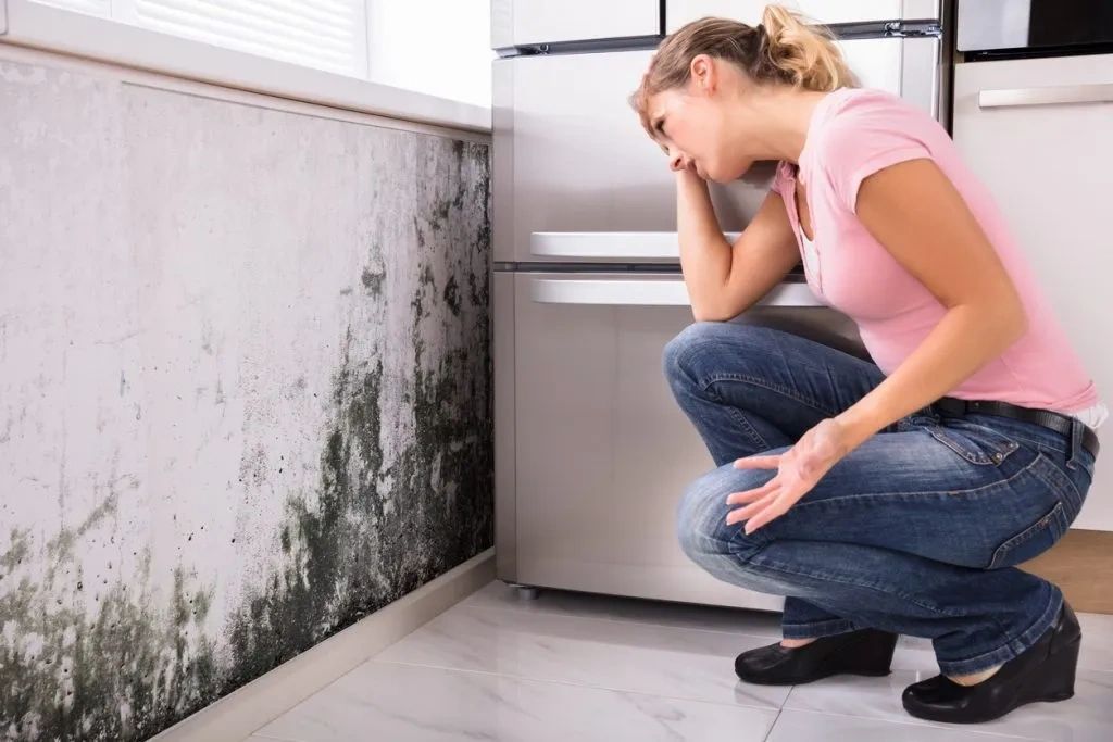 Mold Damage Due To Delayed Repairs