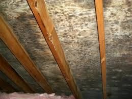 Mold on attic sheathing