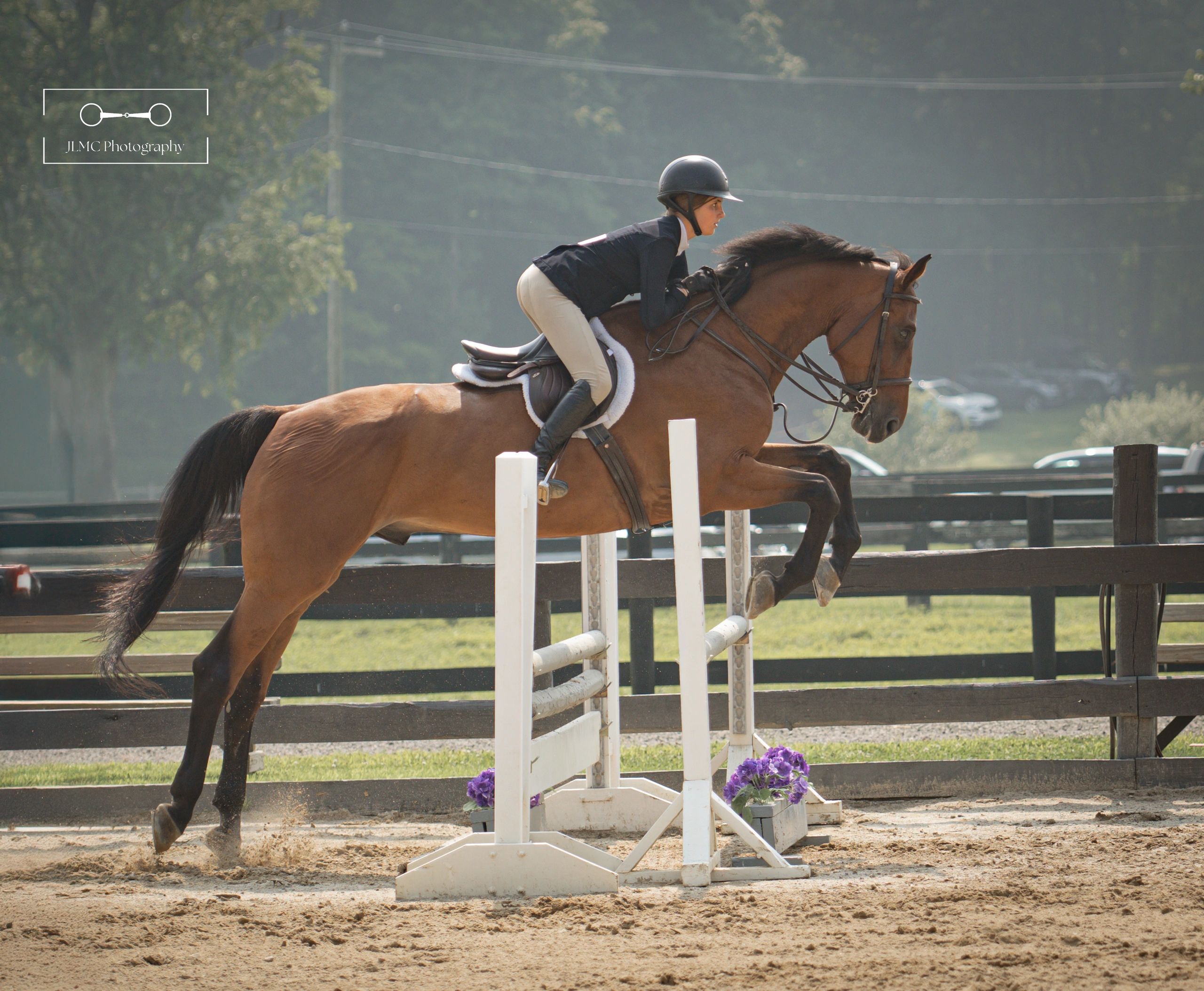 Equestrian rider jumping over a hurdle with a horse.