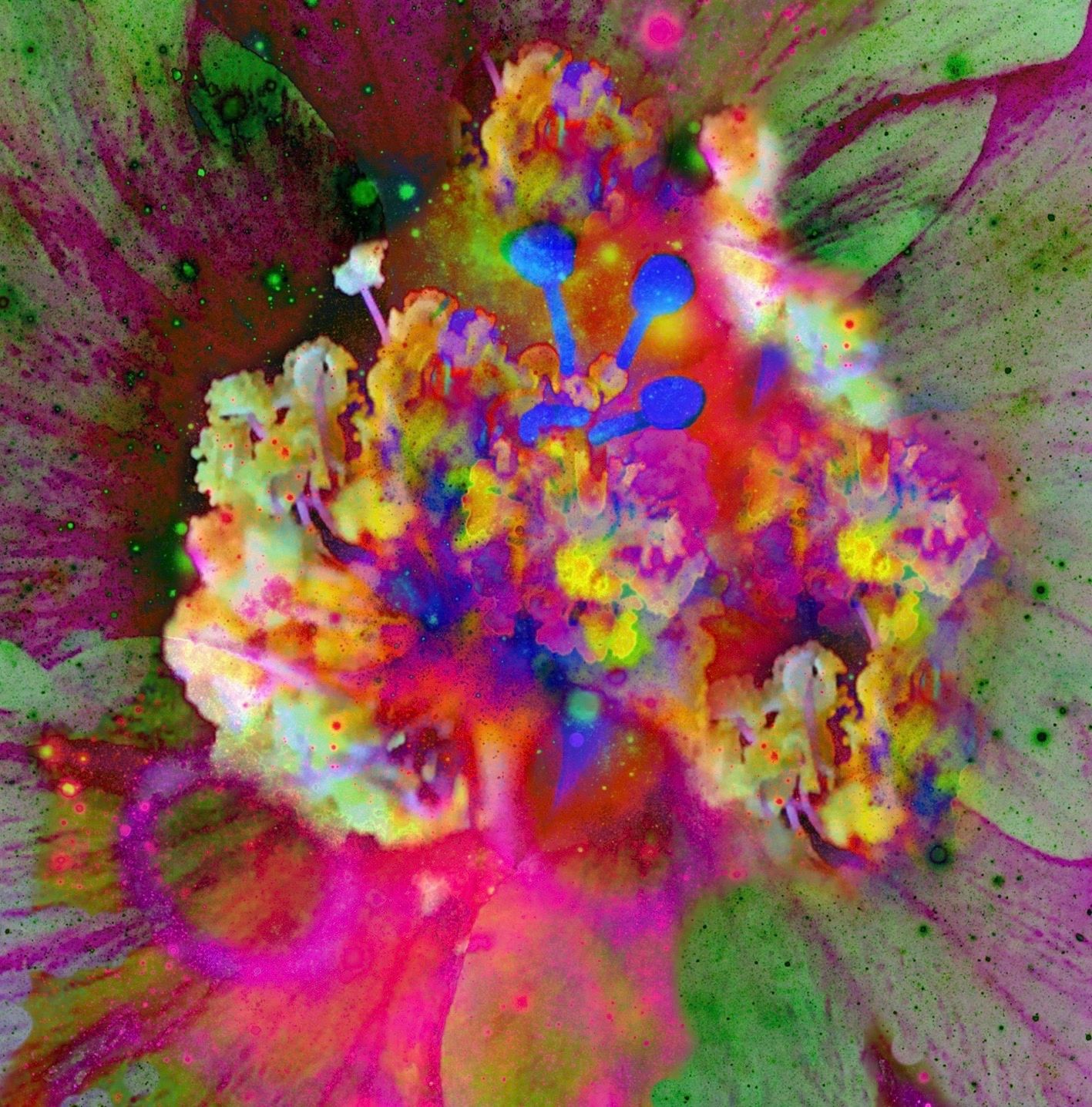 Vibrantly colored close-up of a flower's center.