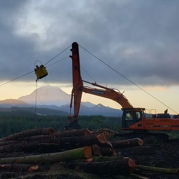 Excavator working on logging site with mountain backdrop at dusk.