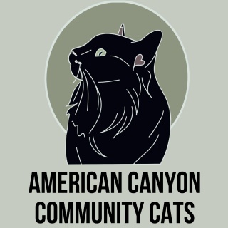 American Canyon Community Cats