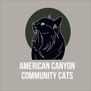American Canyon Community Cats