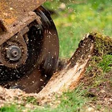 Professional Stump Grinding