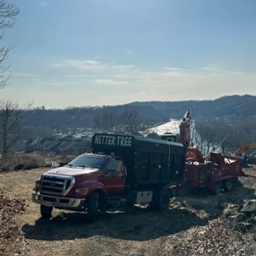 Land Clearing 