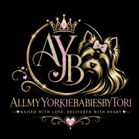 All My Yorkie Babies by Tori