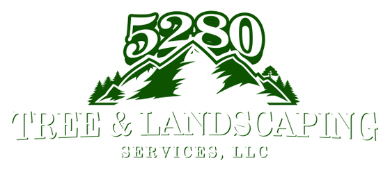 5280 Trees & Landscaping Services