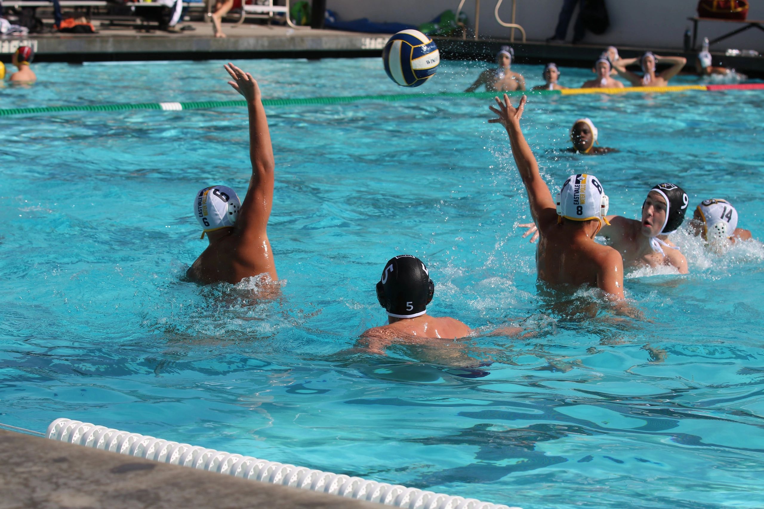 Tulare Water Polo Club Water Polo in Tulare Visalia, California