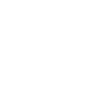 The Wig Wash