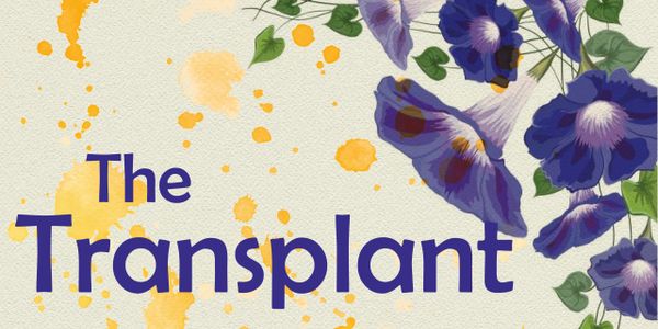 Children's Book The Transplant by Dana Proulx-Willis splash title with morning glory flowers