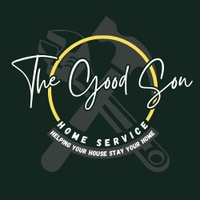 The Good Son