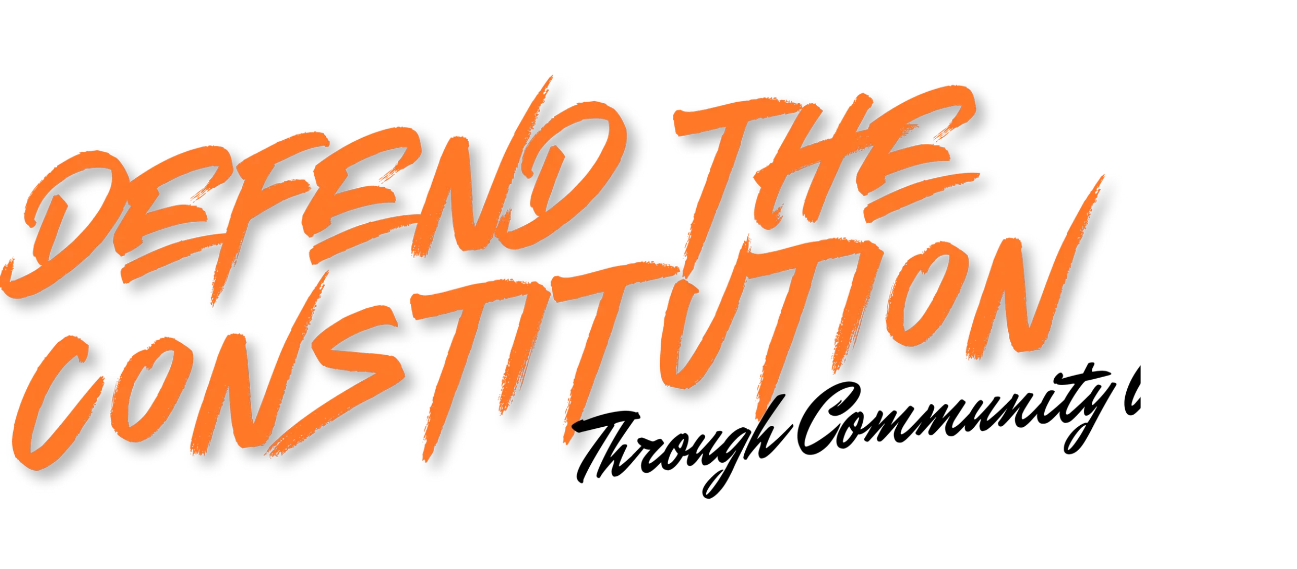 Defend the Constitution Through Community Action is the theme and logo of this guide