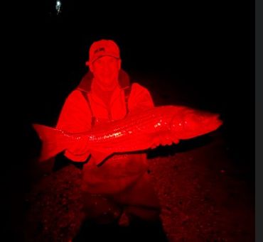2026 Season begins with some night fishing on a Buzzards bay estuary with White Schwarters

