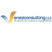 Venezconsulting LLC