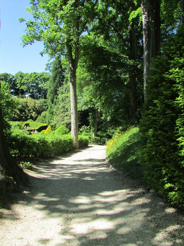 Sunlit garden path with trees and trimmed bushes casting shadows.