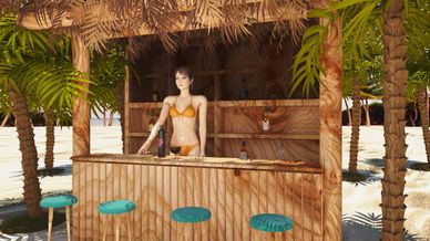 Beach bar and barmaid with a view nature